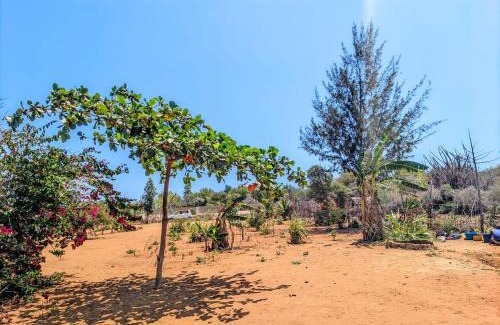 Ifaty Other | Bemaso plage
