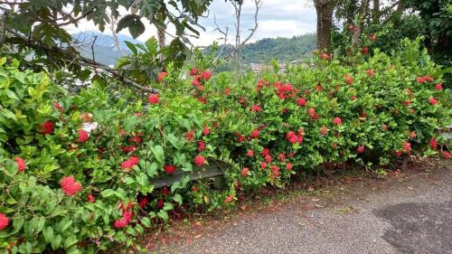 Bentong House | Bentong Hill Cottage