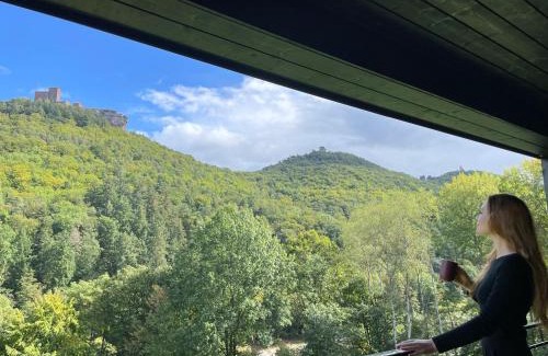 Annweiler am Trifels House | Bergchalet auf Stelzen