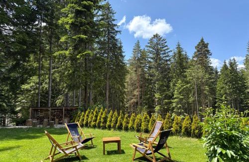 Panichishte Hotel | Berghof Eva - Hotel