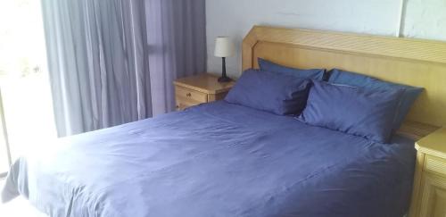 Cathkin Park House | Bergview Chalet, Cathkin