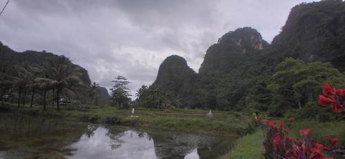 Bantimurung House | Berua homestay Rammang Rammang