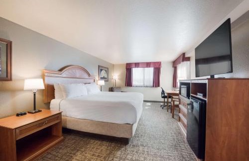 Homer Hotel | Best Western Bidarka Inn