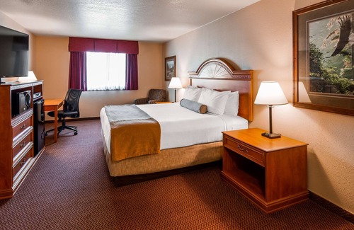 Homer Hotel | Best Western Bidarka Inn