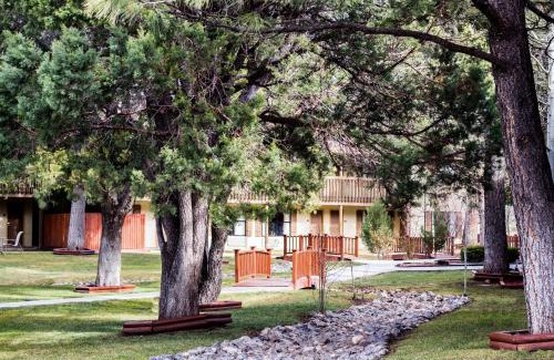 Ruidoso Downs Hotel | Best Western Pine Springs Inn