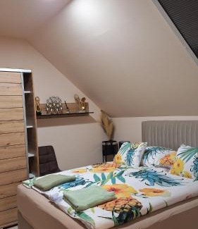 Hajduszoboszlo Apartment | Betti Lux Apartman