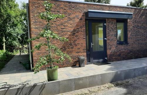 National Park De Biesbosch Bed & Breakfast | BIESBOSCHBEST