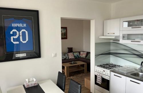 Dubravka Apartment | BIG 3 separate rooms convenient City HAVEN !