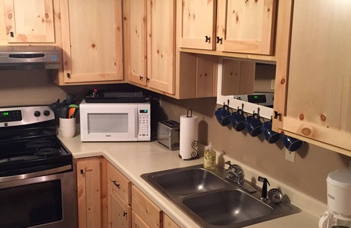 Webster Condo | Big Yellow lake Condo with Dock, Lake Front