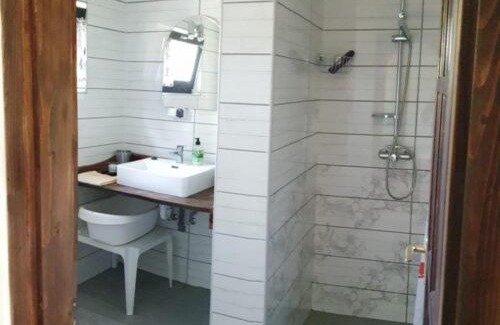 Szigetbecse Apartment | BigCarpHome