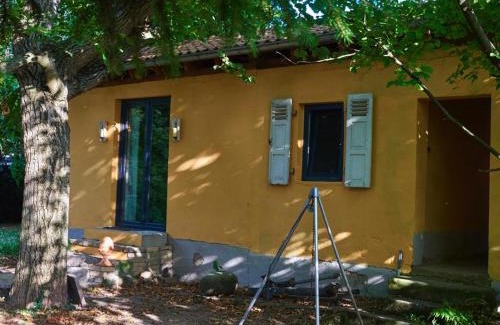 Flonheim Apartment | Biggi‘s Garten-Finca