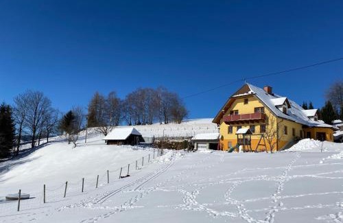 Sankt Jakob im Walde Apartment | Biohof Kroisleitner Ferienwohnung Rundumblick