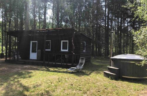 Birzgale House | Birch house