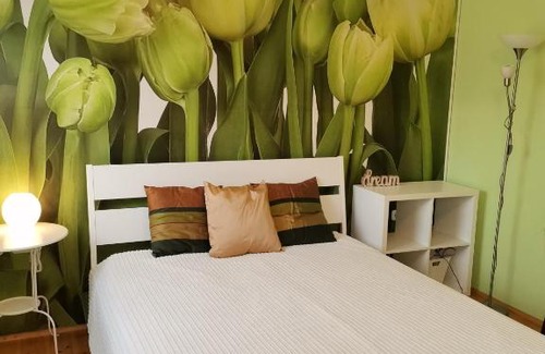 Rakoskeresztur Apartment | Bird Hill Apartment Budapest
