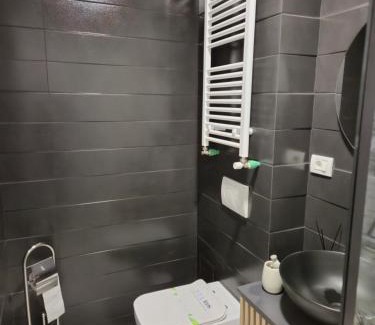 Drobeta-Turnu Severin Apartment | Bizi House Accommodation 2