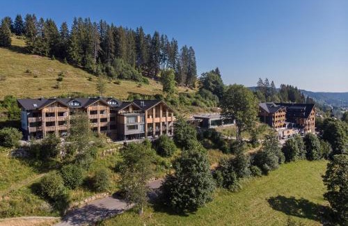 Feldberg Apartment | Black Forest Lodge