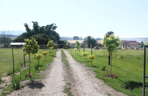 Vryheid Cabin | Black Horses Lodge & Conferencing