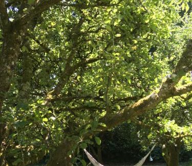 Kilgreaney Other | Blackstairs Shepherds Huts