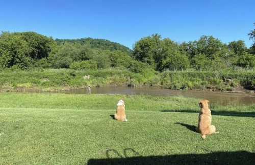 Viola RV Rental | Blakley Hobbit Campground-Tent spot #3