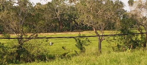 Anuradhapura House | Bliss Lake, Holiday Bungalow, Thissawewa