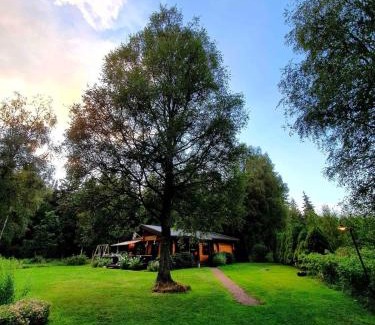 Ulricehamn House | Blockhütte in Alleinlage