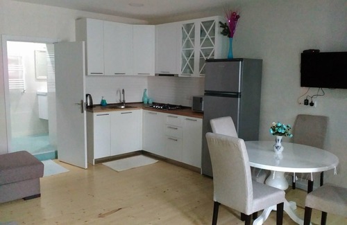 Vera Apartment | Blue Apartment on Rustaveli