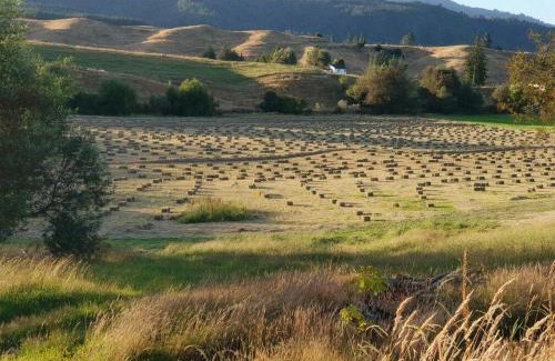 Motueka House | Blue Bell Cottage. Serene luxury farmstead