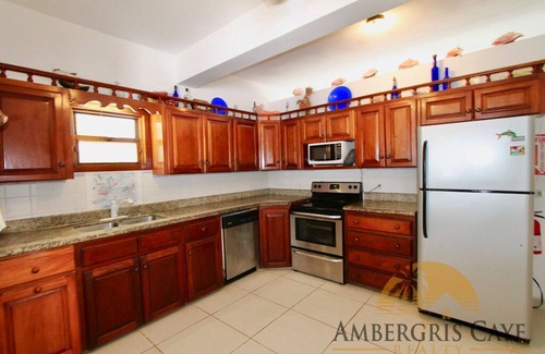 San Pedro Villa | Blue Dolphin "Nicest House on the Island"