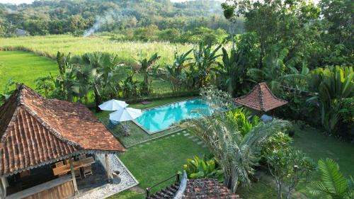 Bangunjiwo House | Blue Garden Yogyakarta