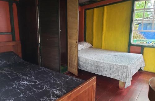 Blue Mountains National Park Cabin | Blue Mountain Wilderness Retreat Jamaica House