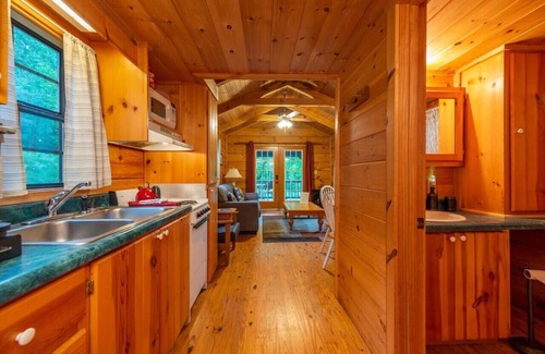 Candler Cabin | Blue Ridge Cabin with Mural – Cozy One-Bedroom Retreat