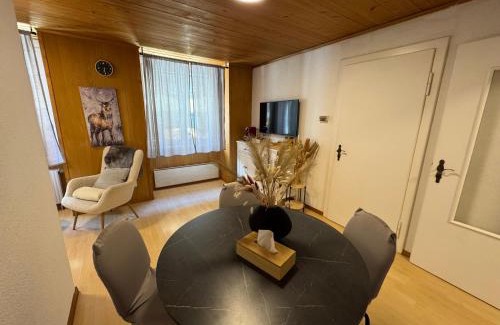 Goeschenen Apartment | Blue Sky Apartments