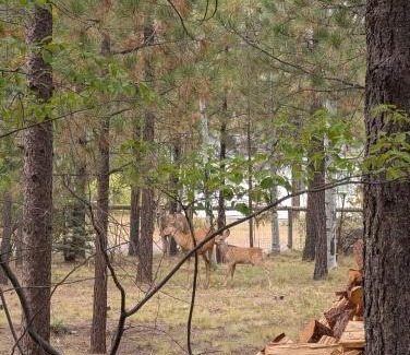 Three Rivers House | Blue Top Cabin Bend Sunriver Log Hot Tub Fire Pit Family Dog Horse Friendly Public Trail Access