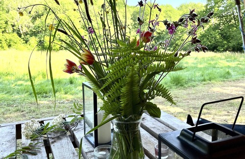 Cullompton RV Rental | Bluebell Brook CampnSecluded camping in 13 acres of magical meadow and woodland.