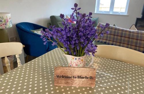 Little Snoring House | Bluebells, Little Snoring