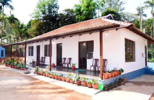Mudigere House | BlueMoon Homestay - Near to falls & Trekking