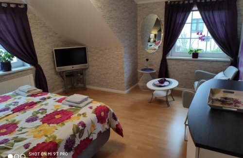 Jenfeld Apartment | Blumen Apartment