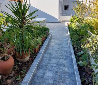 Peso da Regua Apartment | Boa Passagem