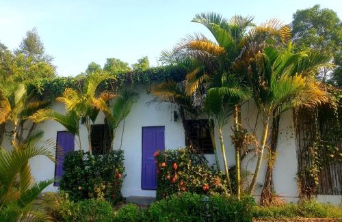 Kampot Hotel | Bohemiaz Resort and Spa Kampot