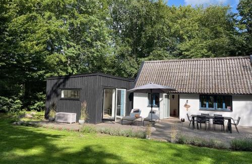 Degeberga House | Bokis - Modern Forest Cottage