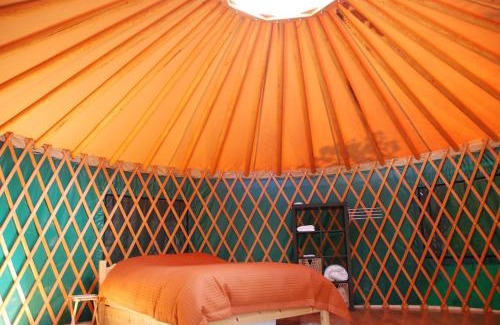 Mount Lorne Cabin | Boreale Ranch