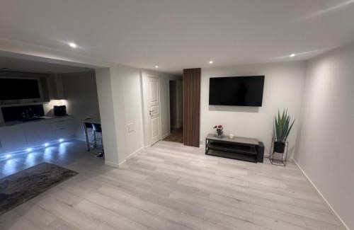 Horten Apartment | Borre