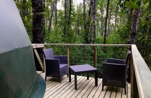 Pinto Cabin | Bosque Vivo