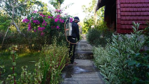 Botoemadeg Resort | Bougainvillea Bungalow