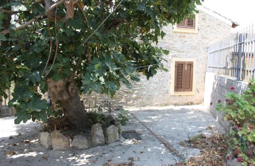 Villanovafranca House | Bouganville