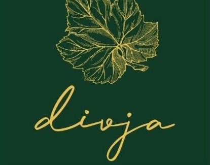 Spodnja Polskava House | Boutique Glamping Divja DiVine