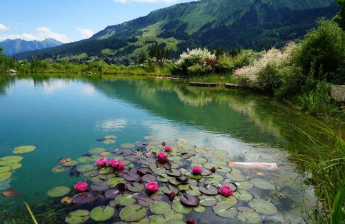 Riezlern Hotel | Boutique Hotel Herzhof - Garni-Appartements - Adults Only