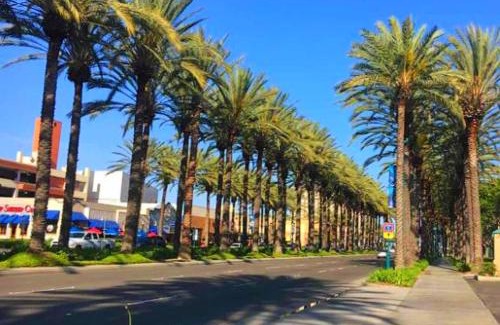 Anaheim Resort Hostel | Bposhtels Anaheim