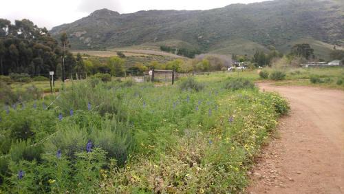 Kalbaskraal House | Brambleberry Farm