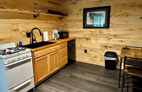 Lake Tomahawk Cabin | Brand New All Season Cabin Rental w/Snowmobile Trail Access